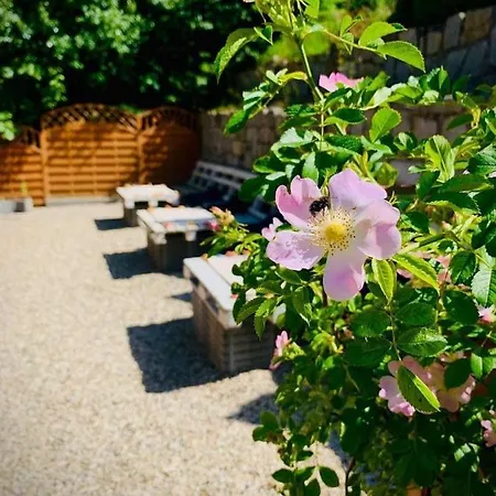 Panorama Гостевой дом