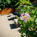 Panorama 招待所